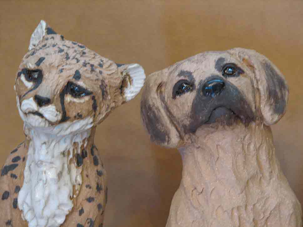 Cheetah Cub and Dog Close Up
