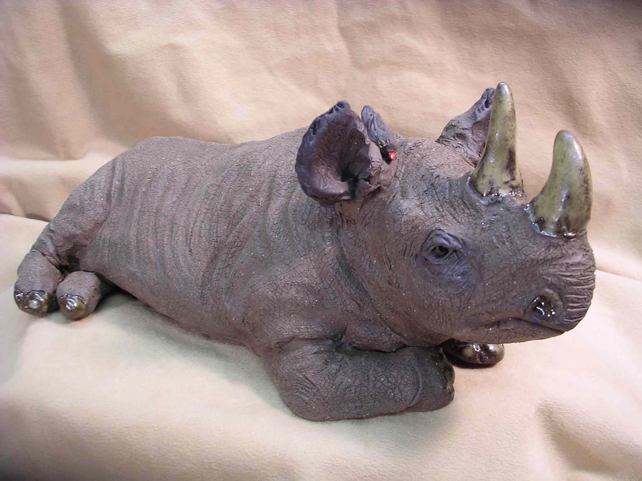 Rhino